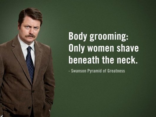 ron swanson body grooming