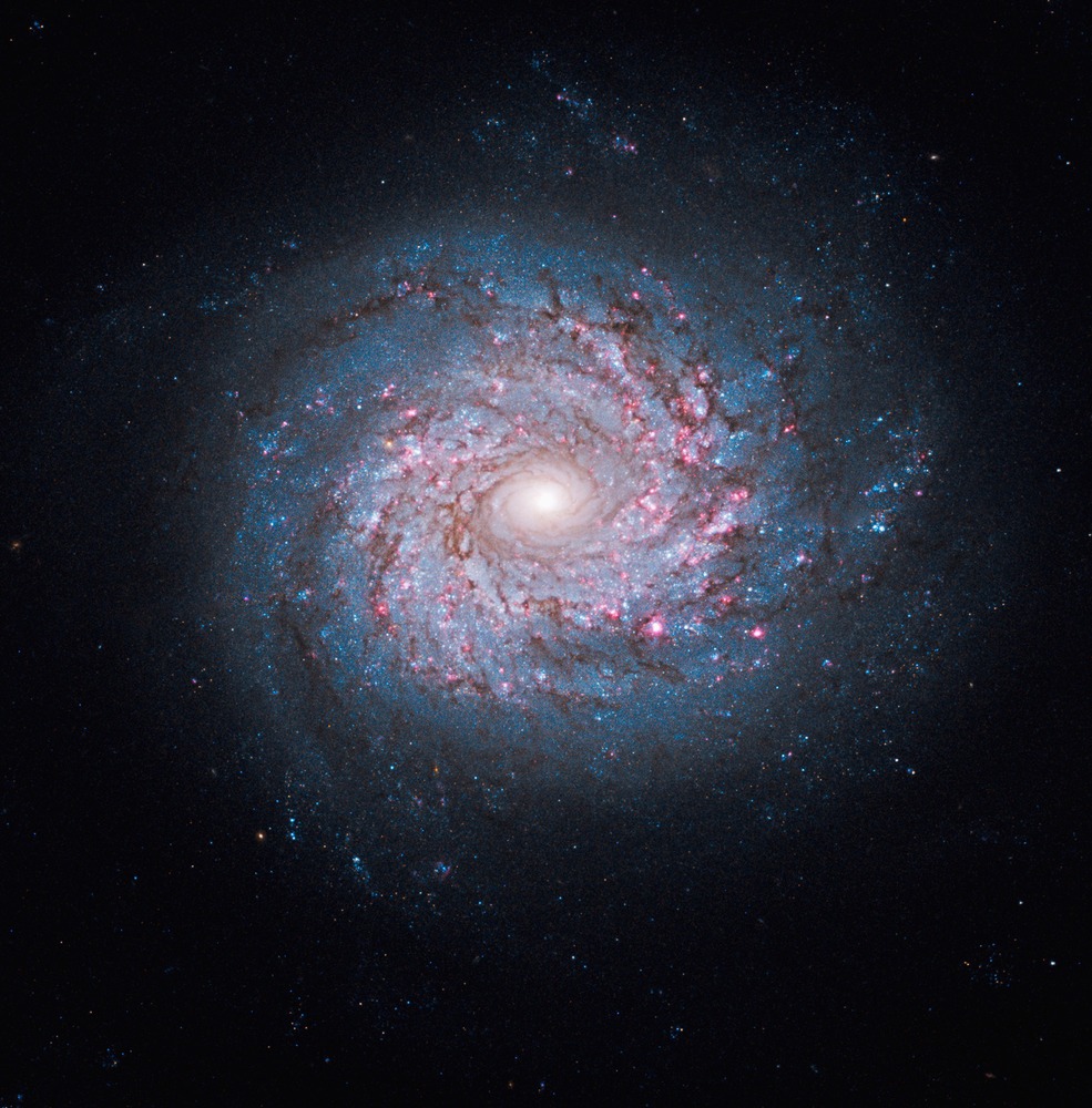 Συρραφή λήψεων από 3 κάμερες του Hubble που απεικονίζει το γαλαξία NGC 3982