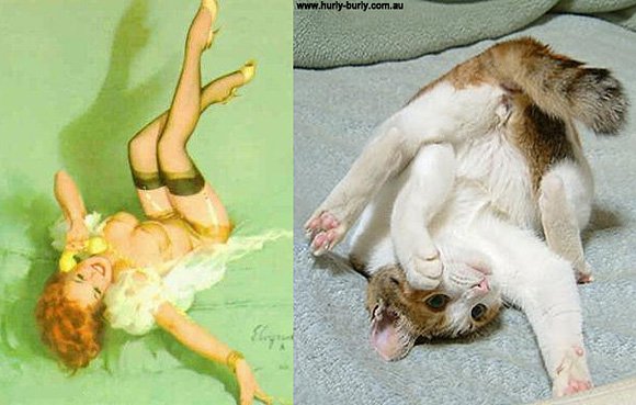 Cats-and-Art-4