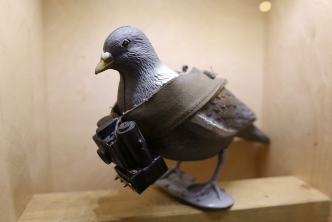pigeon-mock-seen-small-camera-top-secret-spy-museum-oberhausen-germany