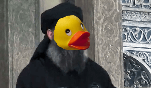 ducks4