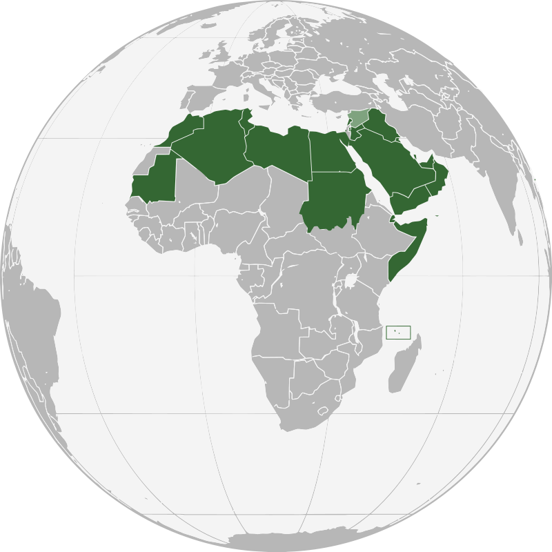 800px-Arab_League_(orthographic_projection)_updated.svg