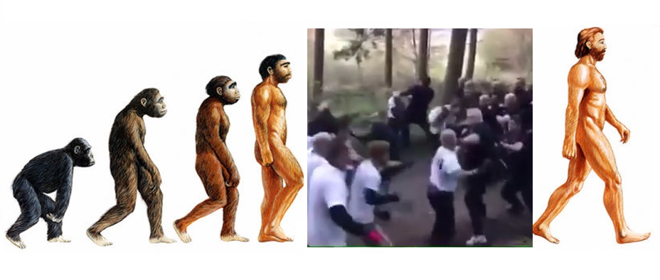 man-evolutionnn